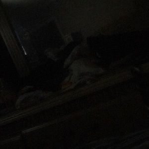 Meet your Posher, Rodrick